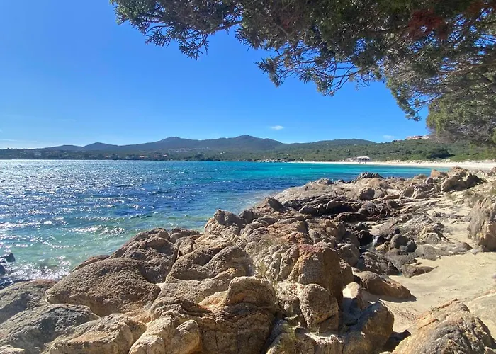 Int13 Via De Filippi オルビア